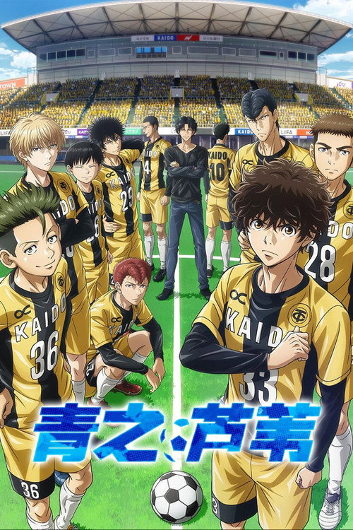 青之芦苇电影海报