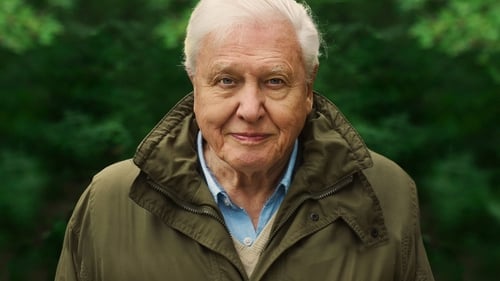 David Attenborough: Una Vida en Nuestro Planeta (2020) Película Completa en español Latino