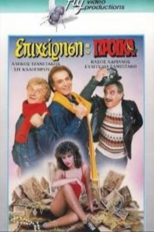 Επιχείρηση προίκα poster 2