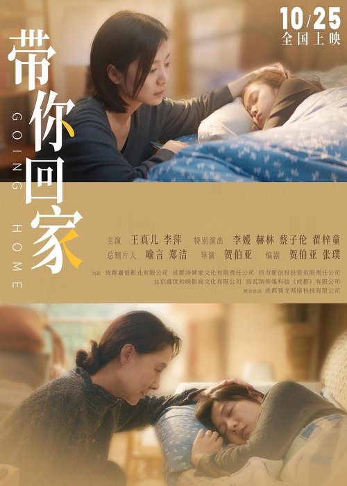 带你回家 Poster