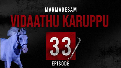 Episode 33