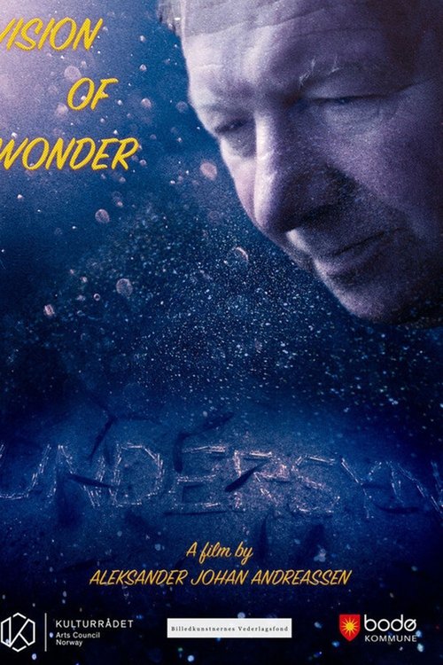 Vision of Wonder (2017) หนังเต็มออนไลน์