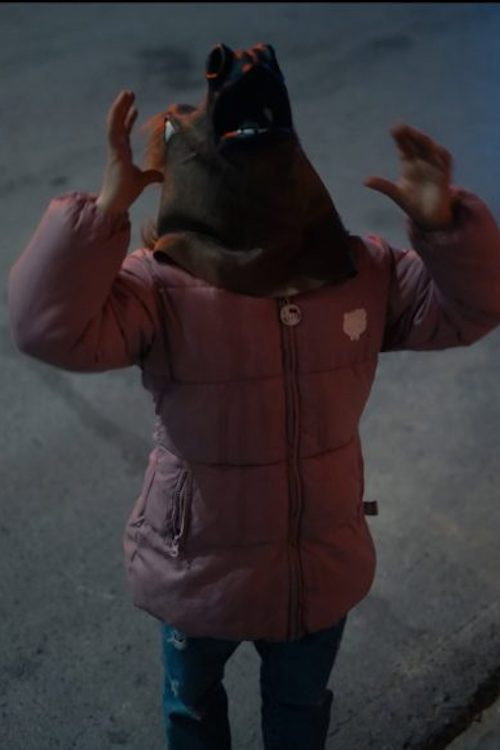 A Dog, A Stone poster 2
