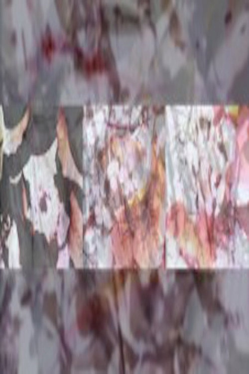 After Monet Water Lilies poster 2