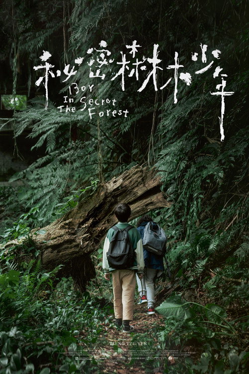 Boy in the Secret Forest poster 2