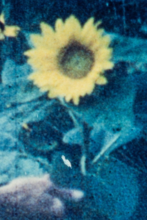 Corn Mother