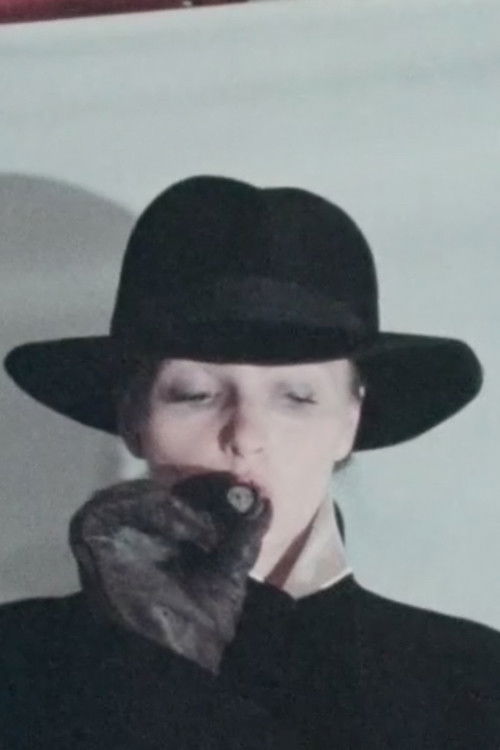 Arta (1984) Koko elokuva