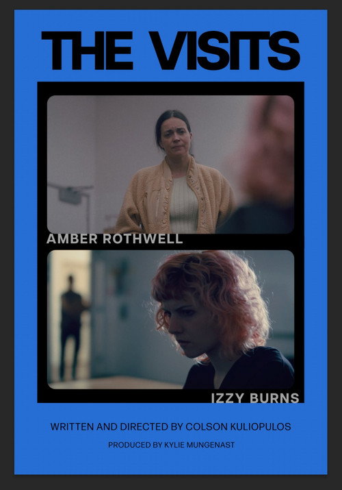 The Visits Poster