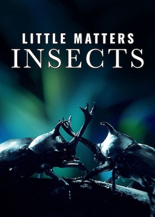 Little+Matters%3A+Insects