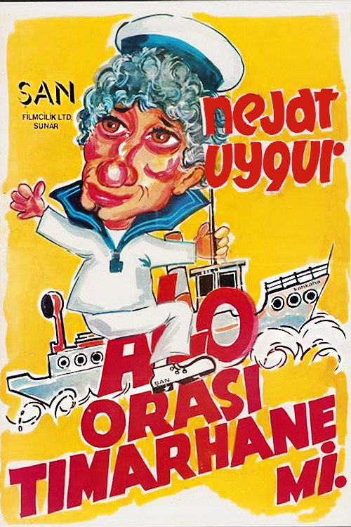 Alo Orası Tımarhane mi poster 3