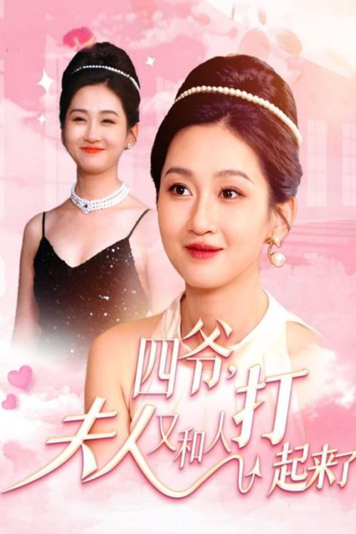 四爷，夫人又和人打起来了海报