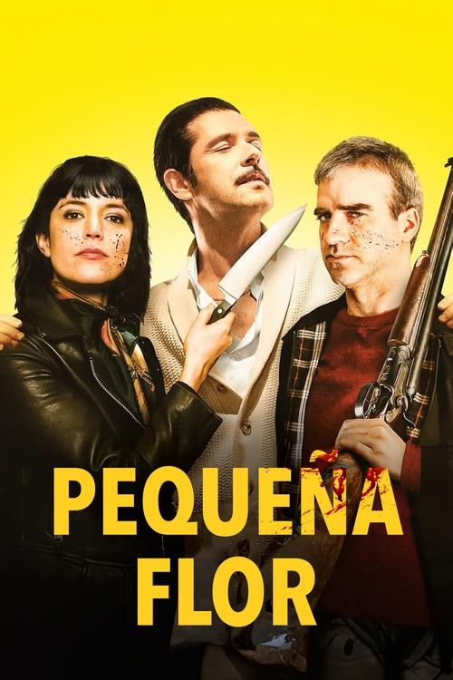 Poster of Petite fleur