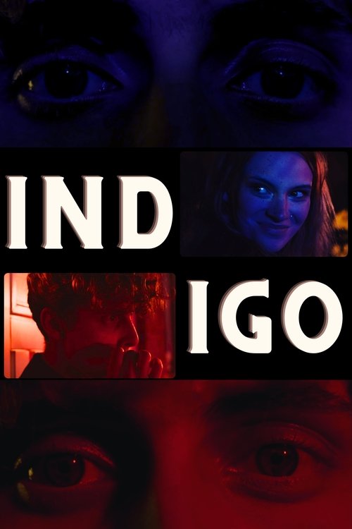 Indigo Poster