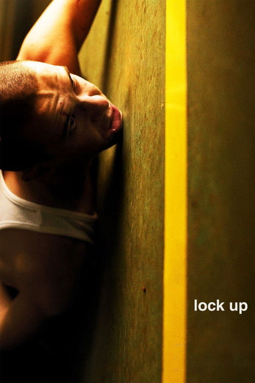 Lock Up Poster