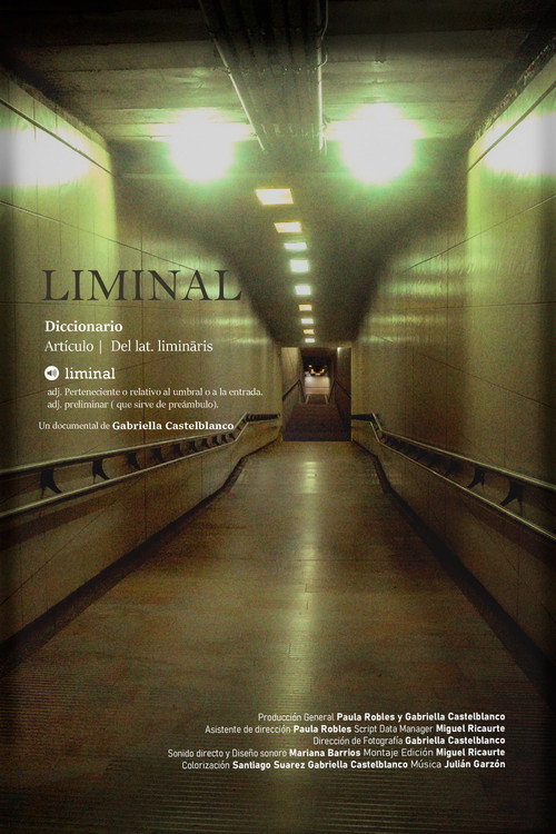 Liminal's poster