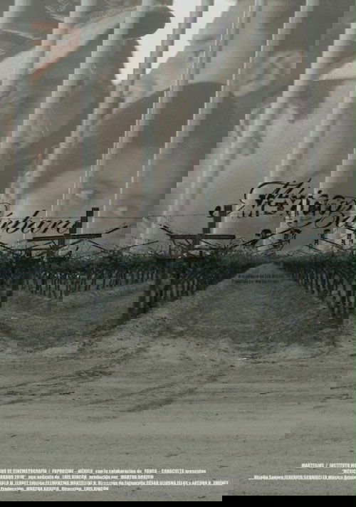 México bárbaro 2010