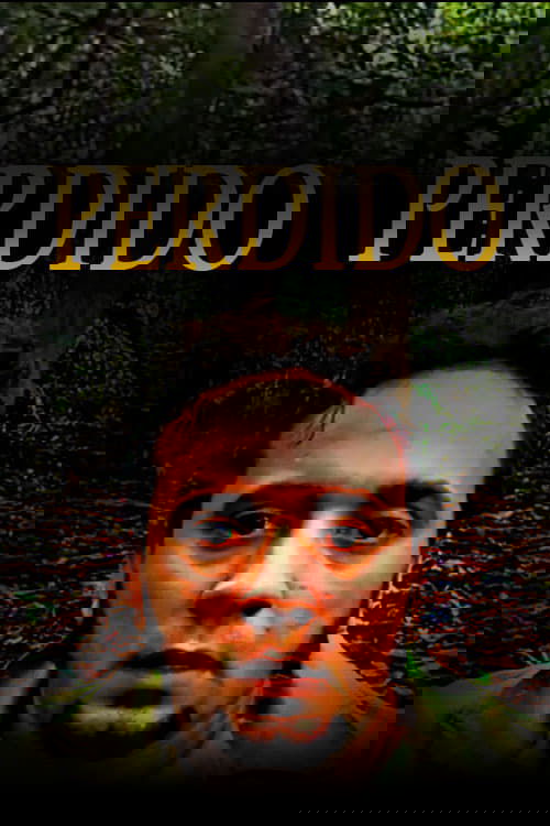 Perdido Poster