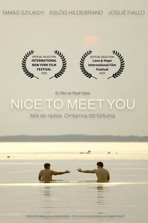 Nice to Meet You Poster
