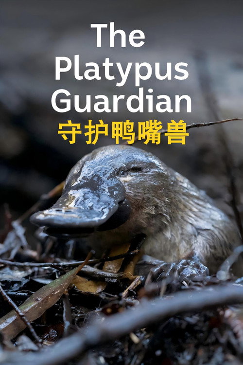 守护鸭嘴兽电影海报