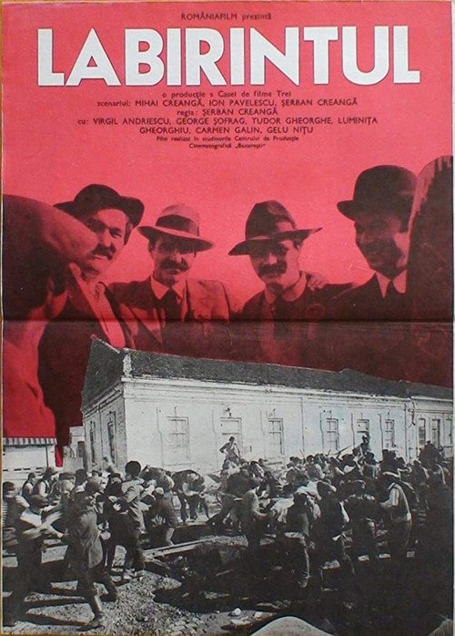 Labirintul poster 2