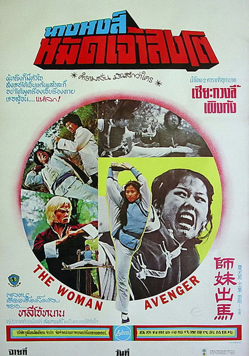 Woman Avenger poster 2