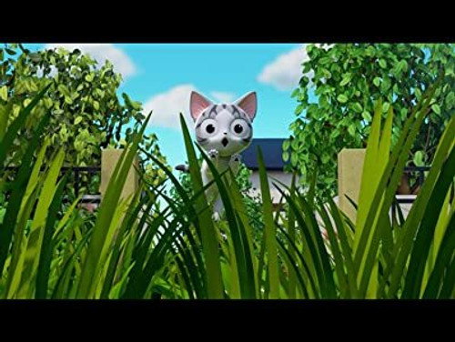 Chi And The Secret Thicket