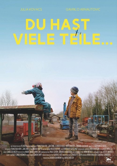 Du hast viele Teile… Poster