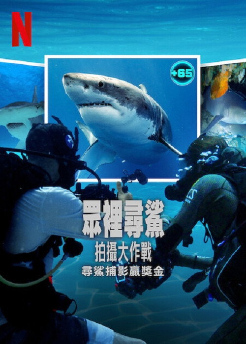 众里寻鲨：拍摄大作战电影海报