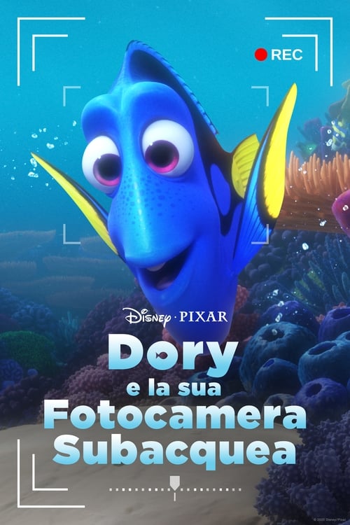 Dory%27s+Reef+Cam