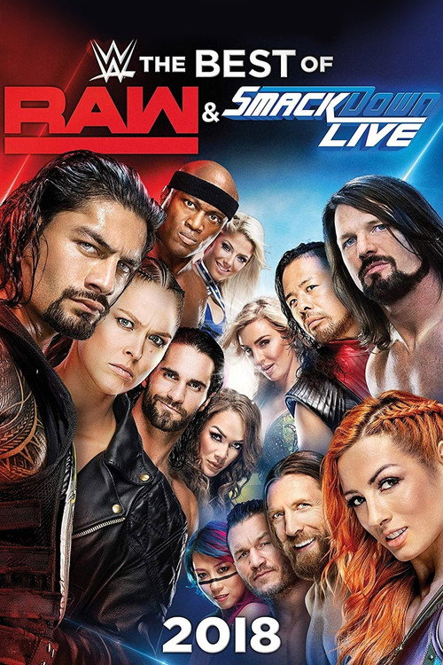 WWE The Best of Raw and Smackdown Live 2018 poster 2
