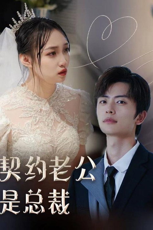 契约老公是总裁电影海报