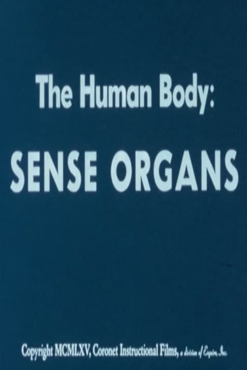 The+Human+Body%3A+Sense+Organs