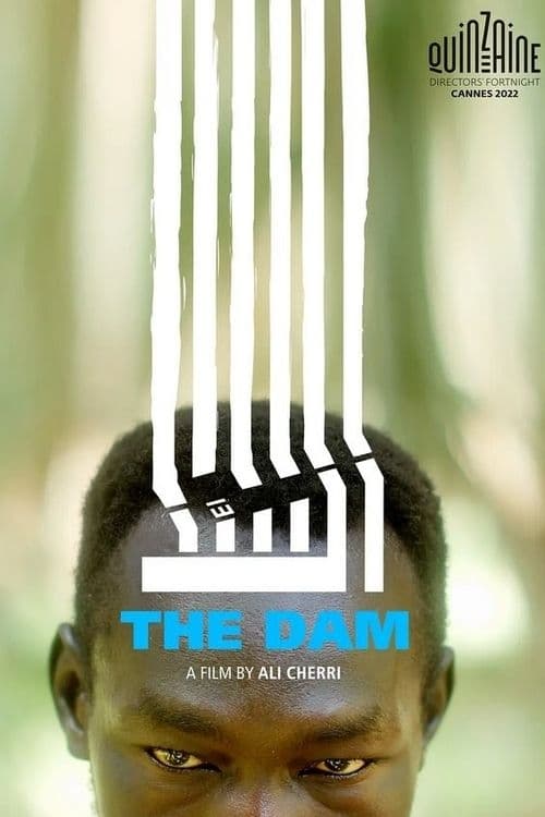 The Dam