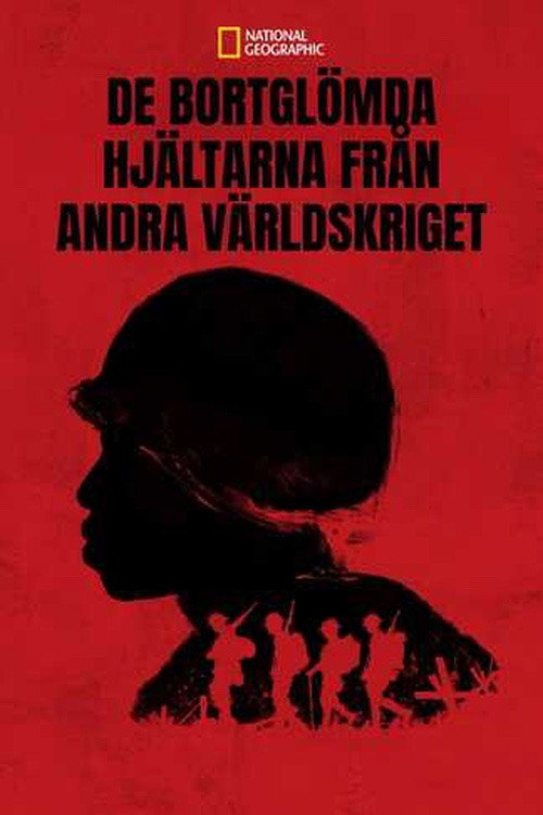 Erased: World War 2's Heroes of Color电影海报