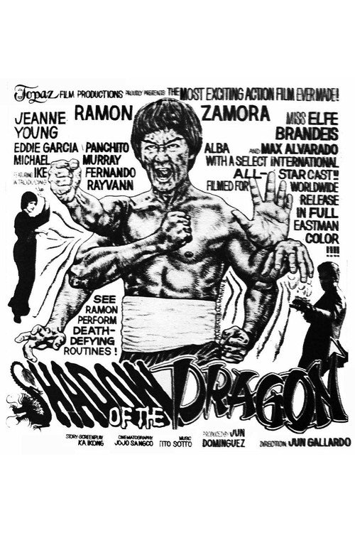 Shadow of the Dragon Poster