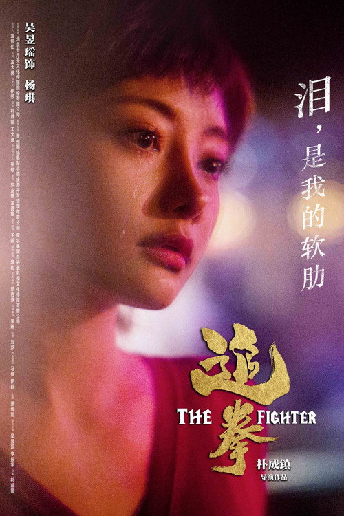 The Fighter poster 4