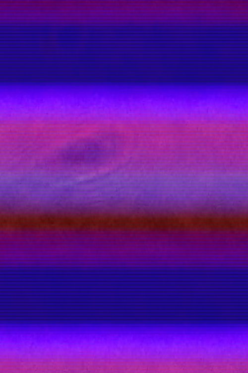 Microscope