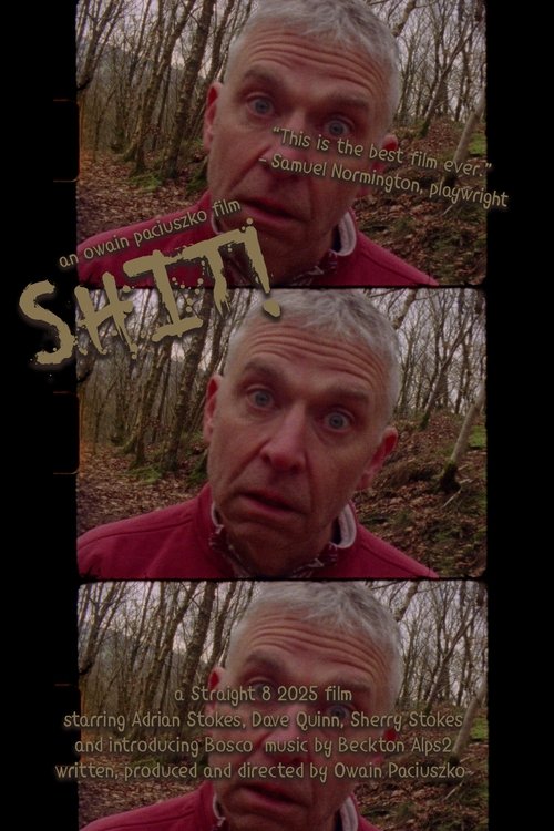 Shit! Poster
