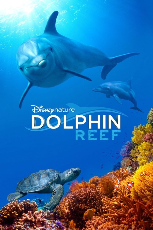 Dolphin+Reef