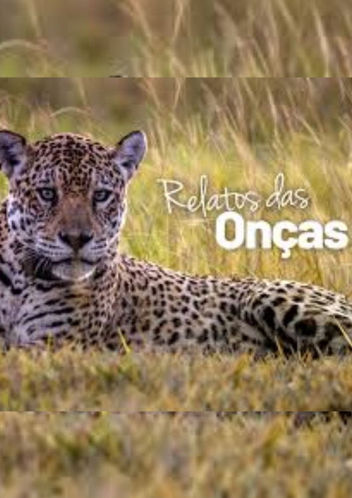 Relatos das On&ccedil;as电影海报