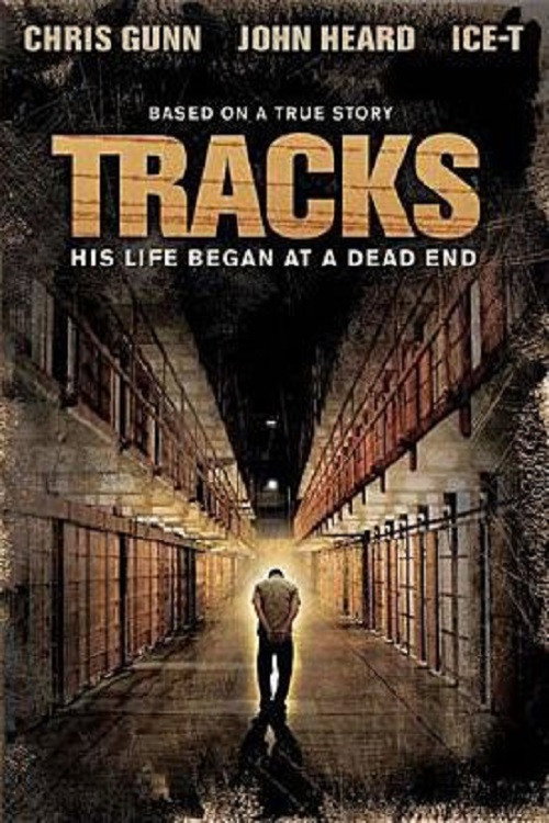 Tracks poster 2
