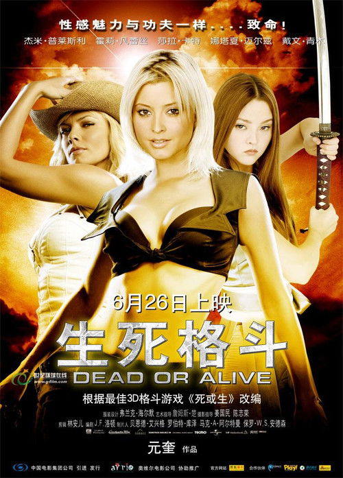 生死格斗电影海报