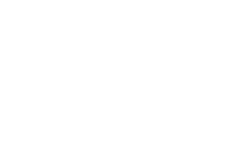 THE LAST OF US S02 Logo