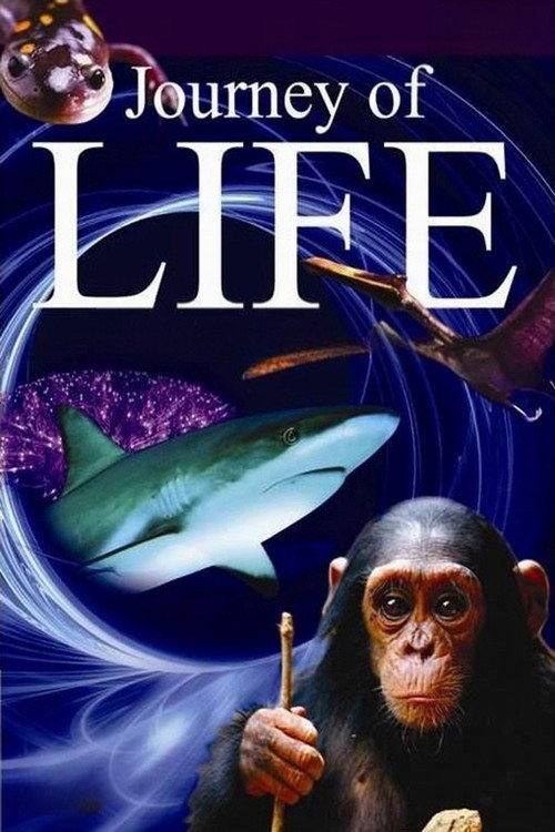 Journey of Life poster 2