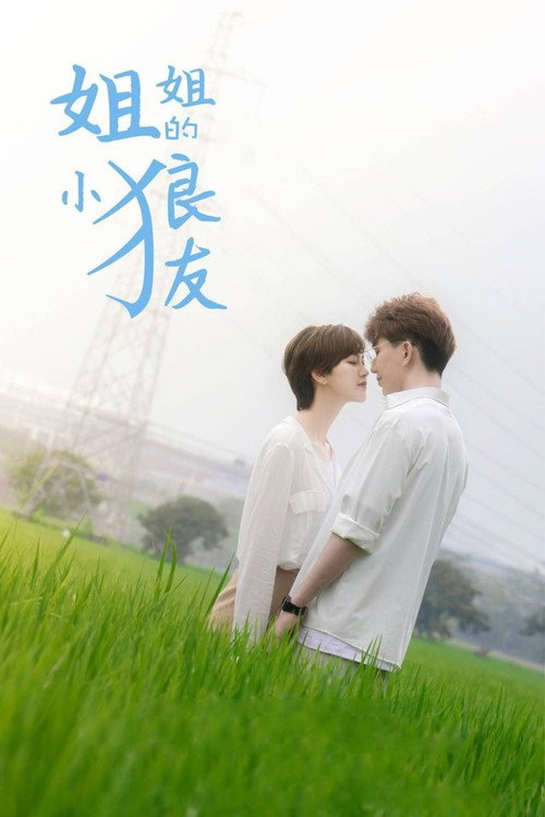 姐姐的小狼友电影海报