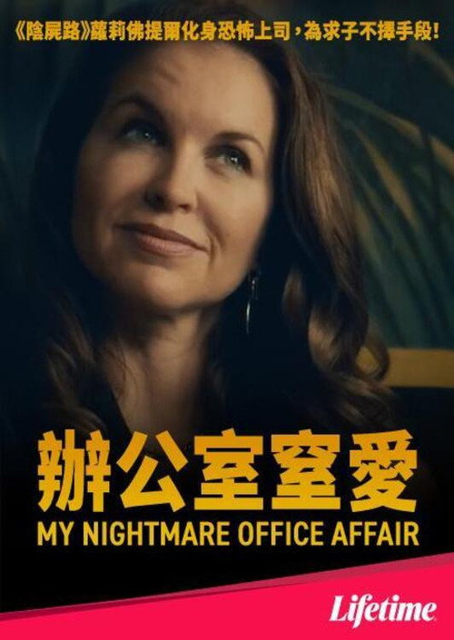 My Nightmare Office Affair电影海报