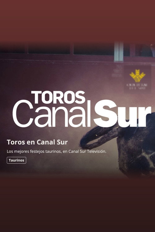 Toros Canal Sur电影海报