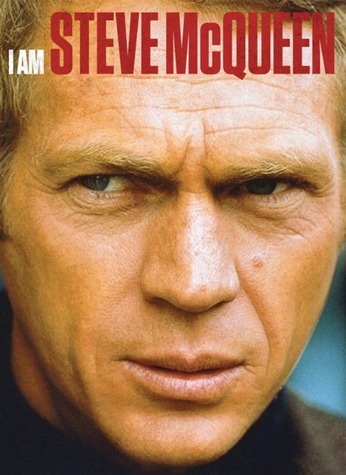 Yo soy Steve McQueen 2014