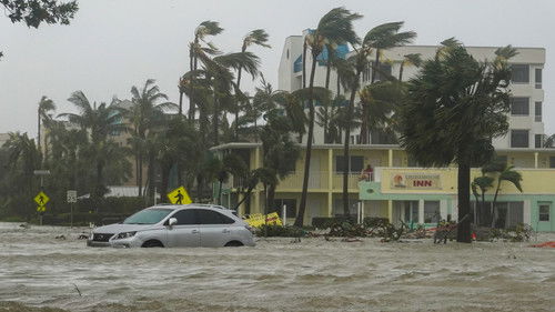 Category 5: Fight to Survive