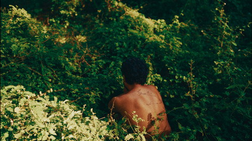 Backdrop